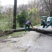 Schock beim Spaziergang