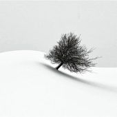 Renate Wasinger gewinnt den „reFocus Award“ für Schwarzweißfotografie