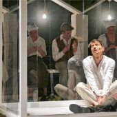 Isoliert und ausgestellt im Glashaus