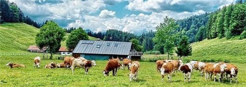 Beliebte Urlaubsregion: Das Bild zeigt Euzenau auf dem Samerberg. Foto Hötzelsperger