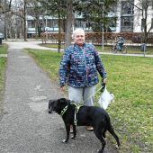 Radler versus Fußgänger im Luitpoldpark