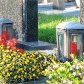 Ökosystem Friedhof
