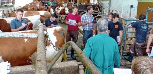 Ein Schultag im Milchviehstall steht ebenfalls auf dem Lehrplan der Landwirtschaftsschule und VLF Rosenheim .Foto