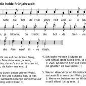 Vorboten des nahenden Frühjahres
