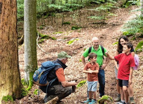 In der Ferienregion Nationalpark Bayerischer Wald gibt es Spannendes für die ganze Familie zu entdecken. Foto FNBW