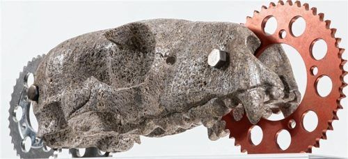 Königer interessiert sich für die Vergänglichkeit des menschlichen wie auch des tierischen Seins. Sein Augenmerk liegt auf Schädeln, Rippen, Schnäbeln – auf Relikten von Skeletten, die er aus Auerkalk oder Jura herausarbeitet.Foto bößwetter