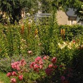 Rosenheim soll grüner werden