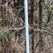 Parken bald kostenpflichtig