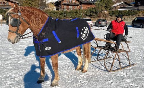 Stolz präsentieren sich Sebastian Grandauer und sein süddeutsches Kaltblutpferd Fabiola nach den Bestleistungen bei den Pferdeschlittenrennen in Tirol.Foto Steffenhagen