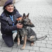 Zollhunde als Publikumsliebling