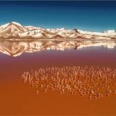 Mit Kamera fünf Jahre rund um die Welt