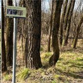 Wege durchs Biotop gesperrt