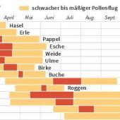Als Erstes quälen uns die Bäume