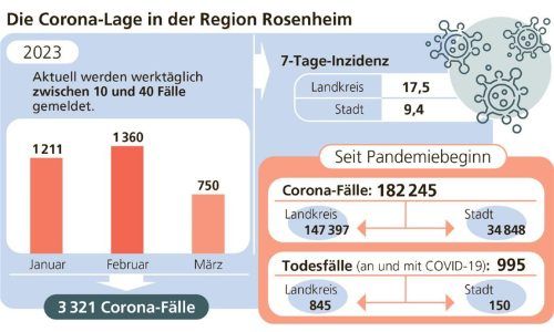 Aktuell nehmen die Corona-Neuinfektionen in Stadt und Landkreis Rosenheim deutlich ab. Seit Beginn der Pandemie starben in der Region 995 Menschen in Verbindung mit dem Coronavirus. Verena Klinger