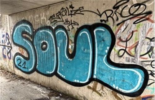 An einer Unterführung verewigte sich ein unbekannter Graffiti-Sprüher. Die Polizei nimmt die Ermittlungen auf. Foto  Angermann