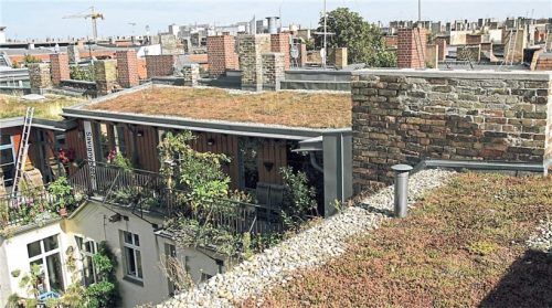 Dachgärten (hier in Berlin-Prenzlauer Berg) werden in Zeiten steigender Klimabelastung immer wichtiger. Foto IMAGO/Götz Schleser