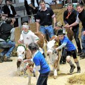 Vorbildliche Tierzucht zur Schau gestellt