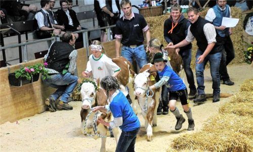 Der Nachwuchs der Viehzüchter war mit viel Spaß dabei: Sichtlich stolz traten die Kinder mit ihren Kälbern zum Wettrennen beim Bambini-Cup der Jungzüchter Rosenheim an. Fotos Strim