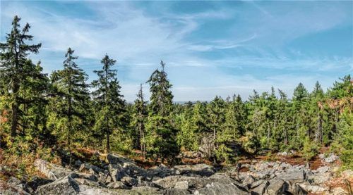 Der Naturpark Steinwald ist unter anderem geprägt von bizarren Felsformationen. Foto DJD/Steinwald-Allianz/Peter von Felbert