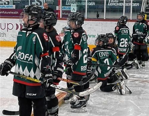 Die U11-Talente der Starbulls Rosenheim feierten beimHoegner-Cup einen gelungenen Abschluss.Foto Starbulls