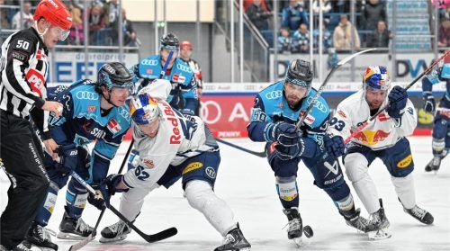 Direktes Aufeinandertreffen: Die früheren Rosenheimer Enrico Henriquez-Morales (Ingolstadt) und Patrick Hager (München) beim Bully, rechts rauschen Louis Brune und Maximilian Kastner heran.Foto Johannes Traub