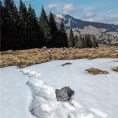 Die Angst vor dem Bären spitzt sich zu