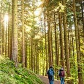 Entschleunigen in Thüringen
