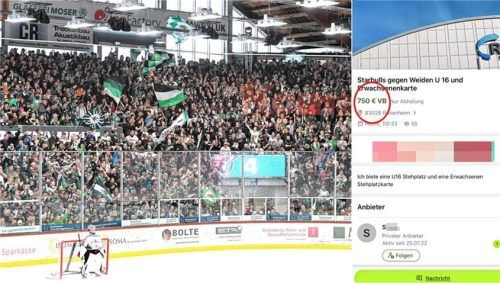 Für einen unfassbaren Preis wurden am Donnerstag (20. April) zwei Karten für das ersteFinal-Heimspiel der Starbulls angeboten. Foto bz/Screenshot Ebay Kleinanzeigen (Montage)