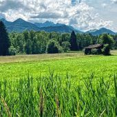 Sommerlustwanderung in der Kendlmühlfilzen