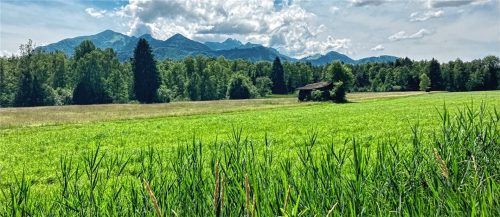 Idyllische Landschaft, weiter Blick, echtes Naturerlebnis in schützenswerter Landschaft: Das erwartet Menschen, die in der Kendlmühlfilzen draußenaktiv werden wollen. Fotos Margit Obermaier