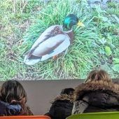 Jugendzentrum Energy veranstaltet Premiere