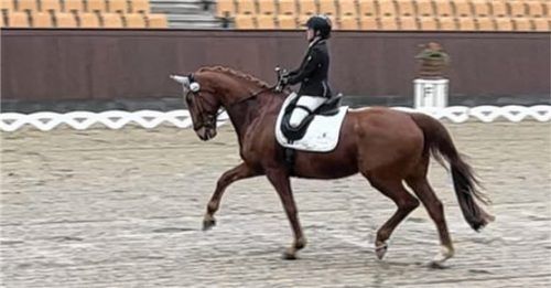 Julia Porzelt und Bruno überzeugten in Dänemark.Foto re