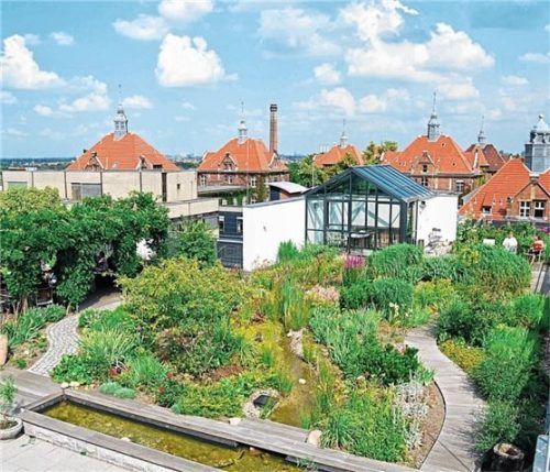 Kommunen fördern mehr Dach- und Fassadengrün. Foto Optigrün International AG/Bhw