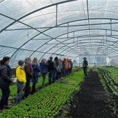 Biohof Schlarb ermöglicht Einstieg in den Bio-Gemüsebau