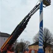 Maibaum antwortet auf Klopfkonzert