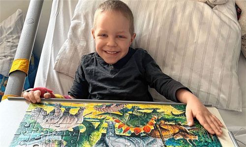 Puzzeln ist eine Lieblingsbeschäftigung von Maxi während des Krankenhausaufenthaltes.Foto privat