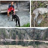 Der Bär, der große Unbekannte