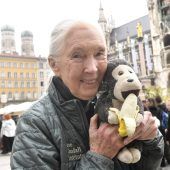 „Der Mensch ist das Problem, nicht der Bär“