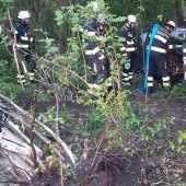 Unfall-Wagen im Gebüsch