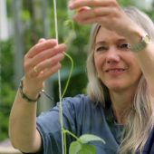 Beklemmende Szenarien