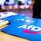 Wie die Frage der Migration die AfD stärkt