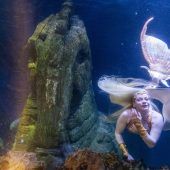 Unheimliche Begegnungen