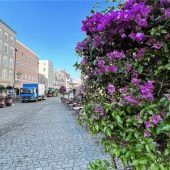 Mediterranes Flair am Max-Josefs-Platz
