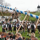 Mit Musik und viel „Irxenschmalz“ Maibäume in Happing und Oberwöhr aufgestellt