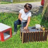 Das elende Leben streunender Katzen