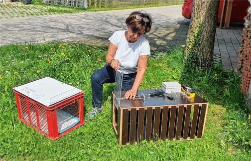 Aufbau einer Katzenfalle: Anna Thomalla engagiert sich ehrenamtlich für Tiere in Not. Wöchentlich ist sie gegen das Katzenleiden auf den Straßen rund um Rosenheim und Ostermünchen im Einsatz. Foto Thomalla