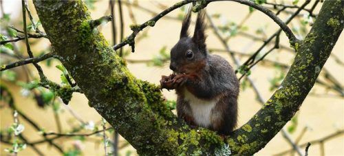 AuswahlfotoFoto Aerzbäck