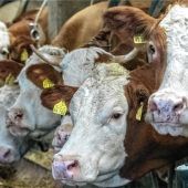 Haben die Kontrollen versagt?