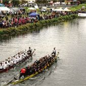 Anmeldungen für Drachenbootrennen sind bereits möglich