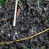 Weiter Rätselraten um Kunststoff-Granulat